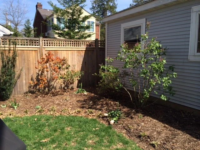 Arlington Landscape Makeover by Tiger Lily Landscapes, LLC - Photo 5