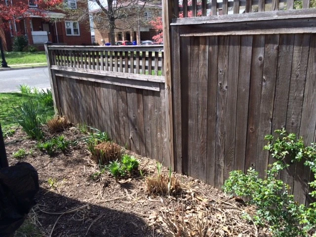 Arlington Landscape Makeover by Tiger Lily Landscapes, LLC - Photo 4