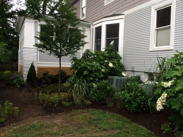 Arlington Landscape Makeover by Tiger Lily Landscapes, LLC - Photo 9