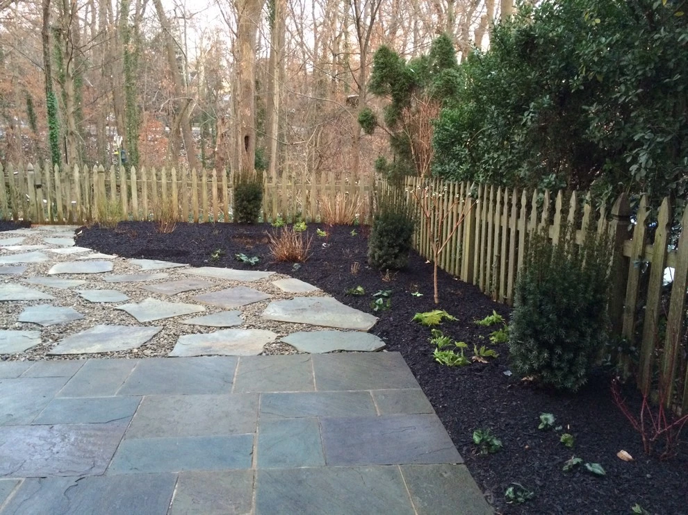 Northwest DC Xeriscape by Tiger Lily Landscapes, LLC - Photo 2