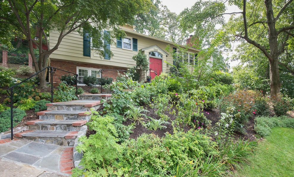 A Hillside Project in Arlington by Tiger Lily Landscapes, LLC - Photo 6
