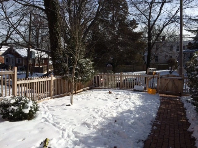 Georgetown-Area Home by Tiger Lily Landscapes, LLC - Photo 4