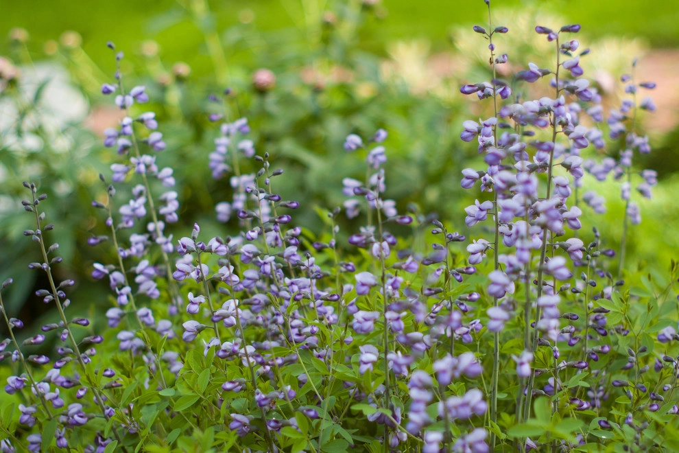 Welcome Garden by A Blade Of Grass - Photo 15