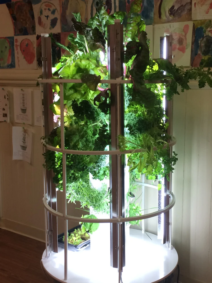 Tower Garden Los Angeles - Photo 2