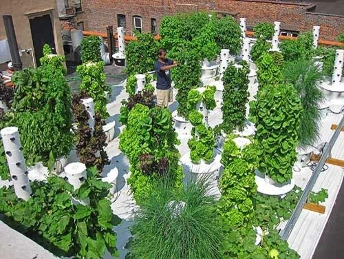 Tower Garden Los Angeles - Photo 3