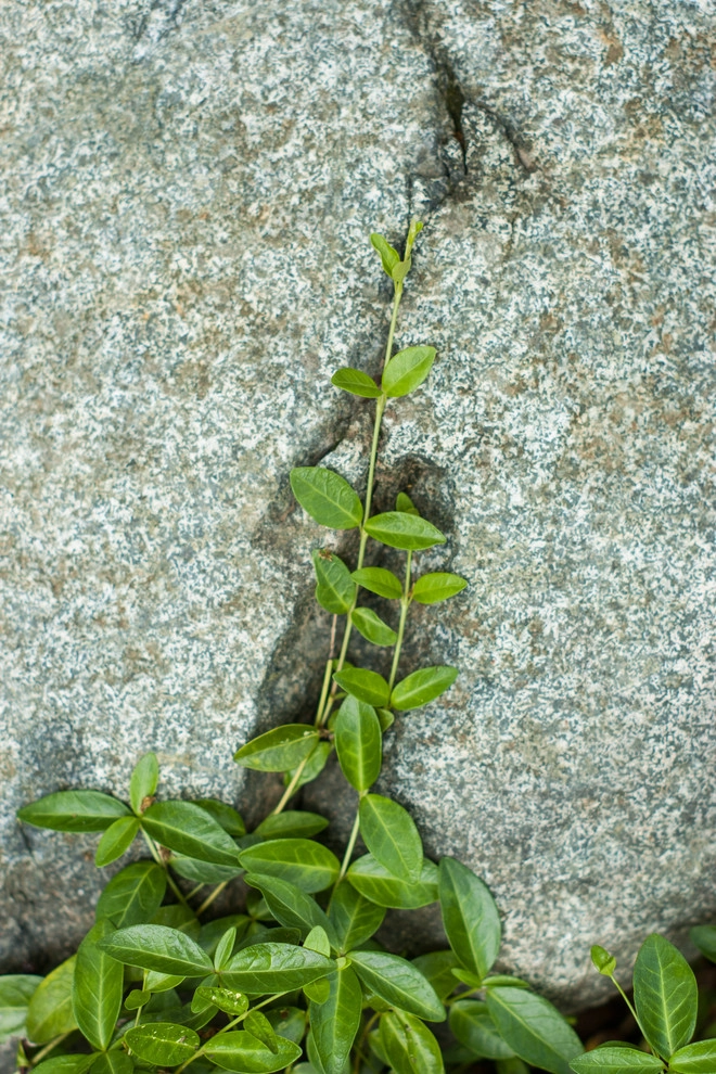 Welcome Garden by A Blade Of Grass - Photo 21