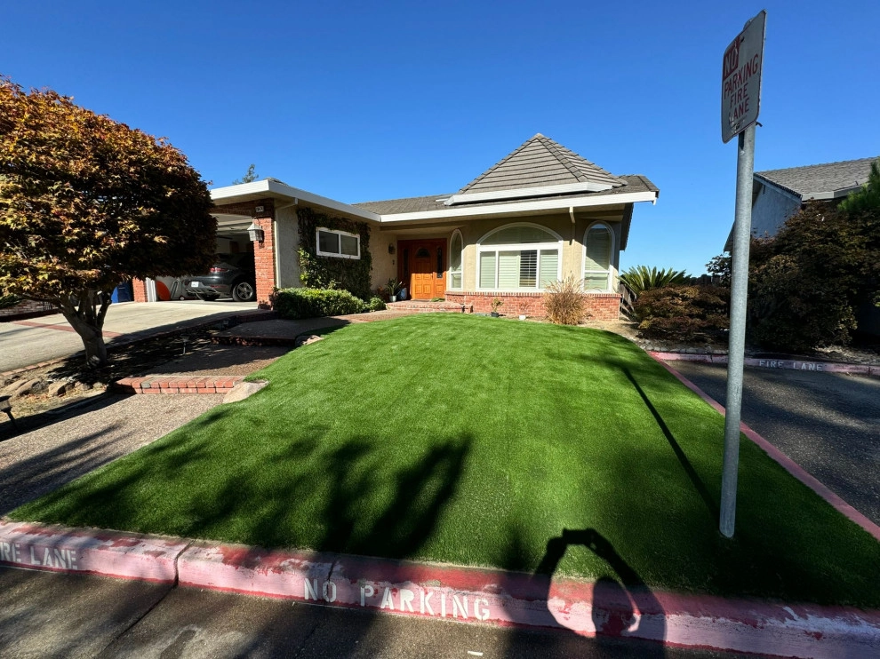 Art Of Turf Inc - Photo 12