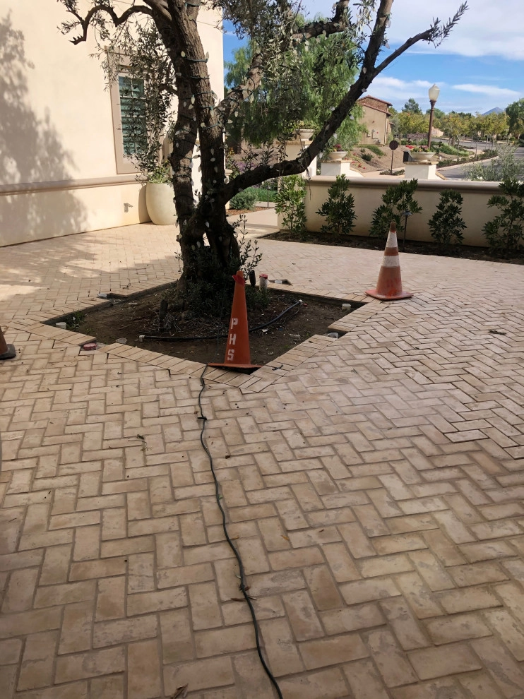 Del Sur, @ Del Mar , Ca. by Exterior Designs Landscape - Photo 36