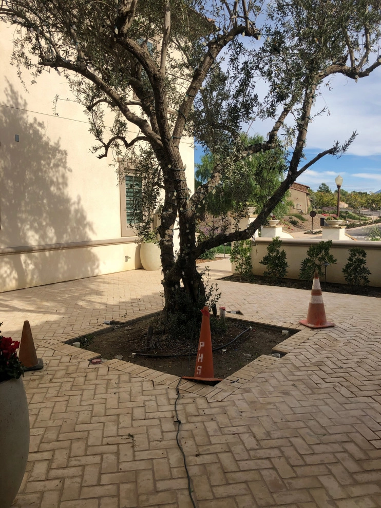Del Sur, @ Del Mar , Ca. by Exterior Designs Landscape - Photo 33