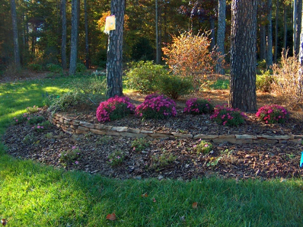 Two Landscapers And A Truck - Photo 13