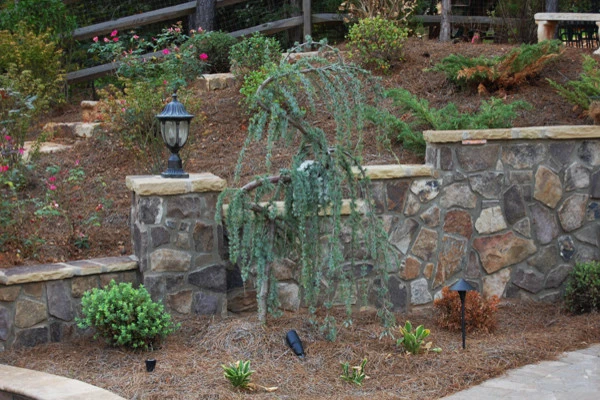 Two Landscapers And A Truck - Photo 6