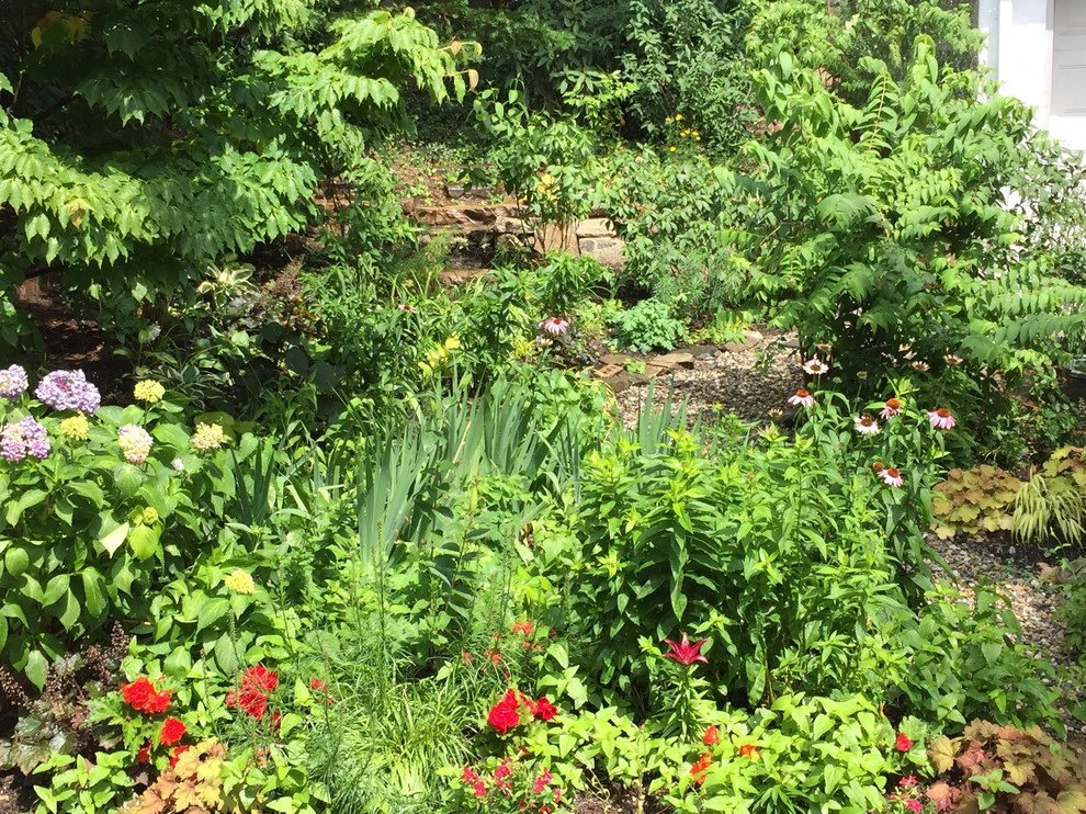 Colorful Mixed Perennial Garden by Ty Tan Designs, LLC - Photo 4