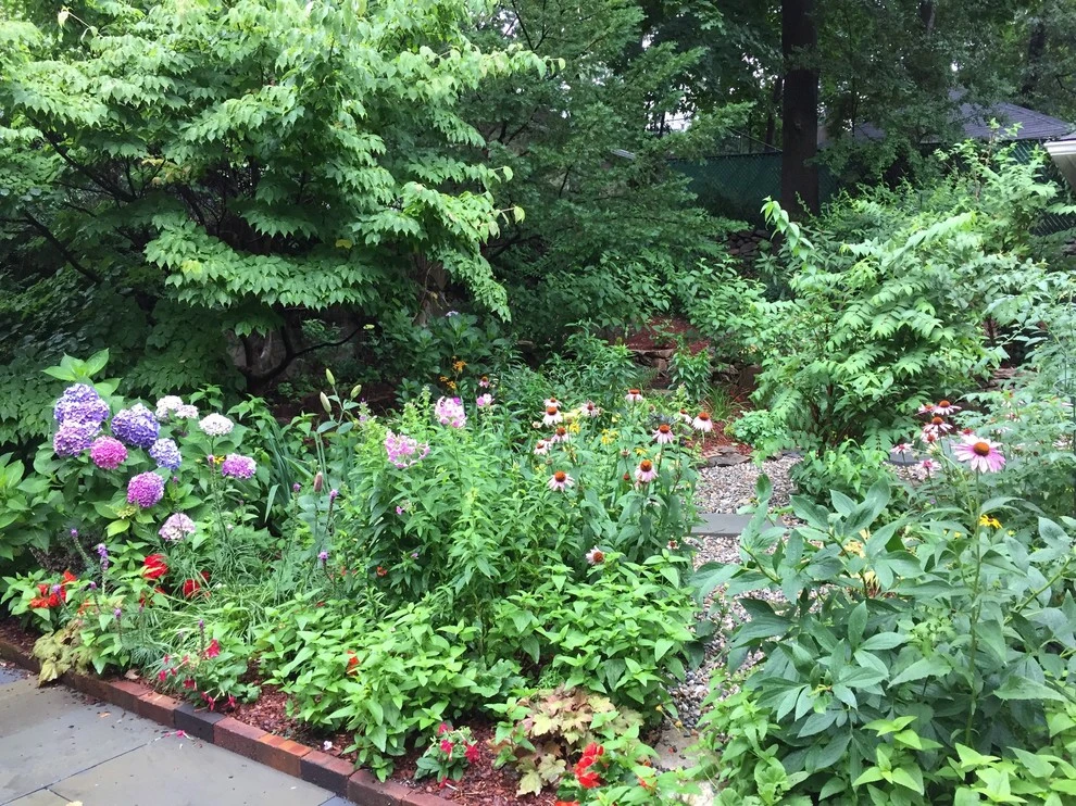 Colorful Mixed Perennial Garden by Ty Tan Designs, LLC - Photo 3