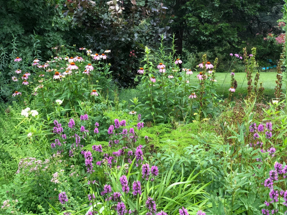 Mixed Planting Border by Ty Tan Designs, LLC - Photo 5