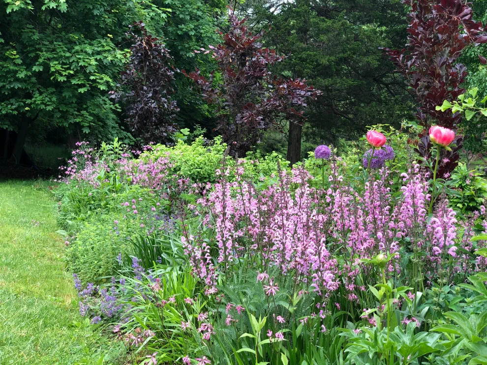 Mixed Planting Border by Ty Tan Designs, LLC - Photo 7