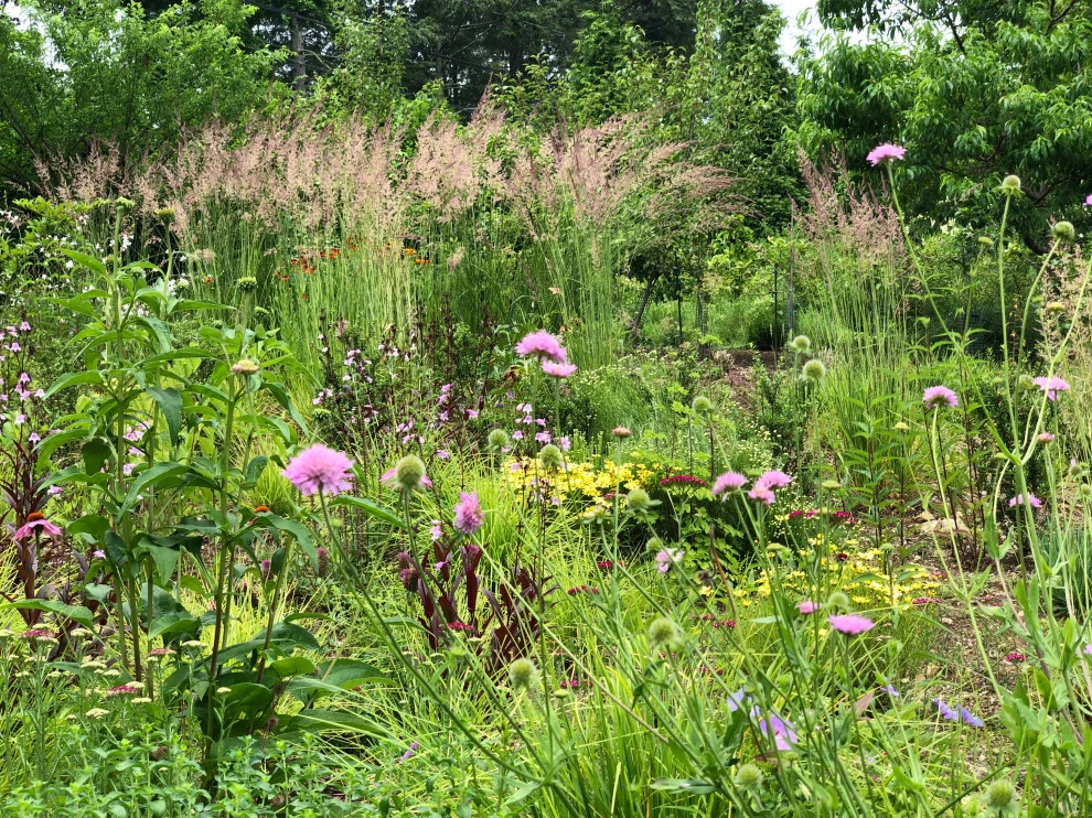 Slope Meadow Planting by Ty Tan Designs, LLC - Photo 3