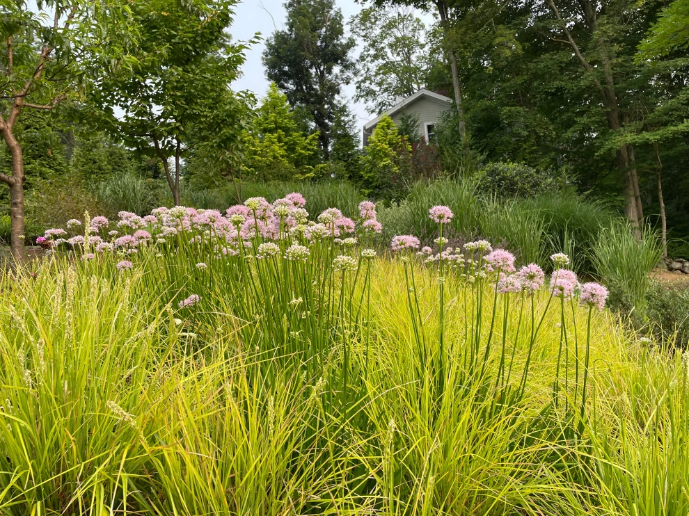 Slope Meadow Planting by Ty Tan Designs, LLC - Photo 4