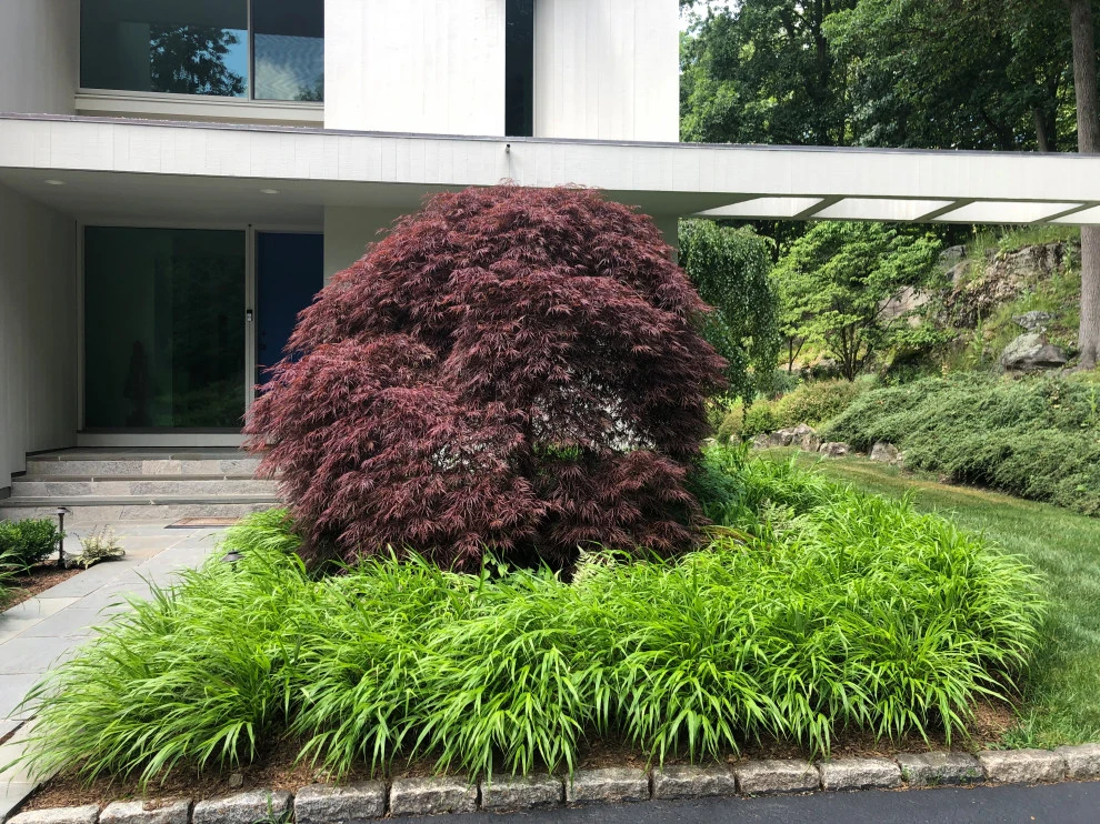 Modern Drama with Grasses by Ty Tan Designs, LLC - Photo 3