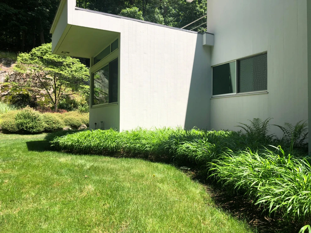 Modern Drama with Grasses by Ty Tan Designs, LLC - Photo 2