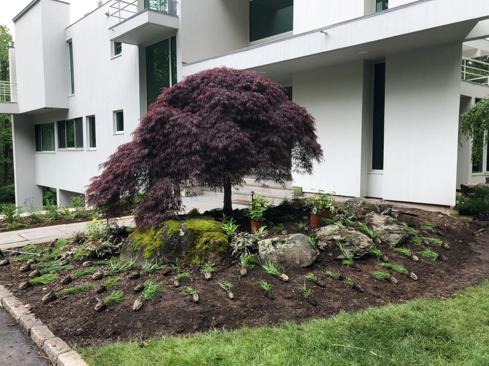 Modern Drama with Grasses by Ty Tan Designs, LLC - Photo 7