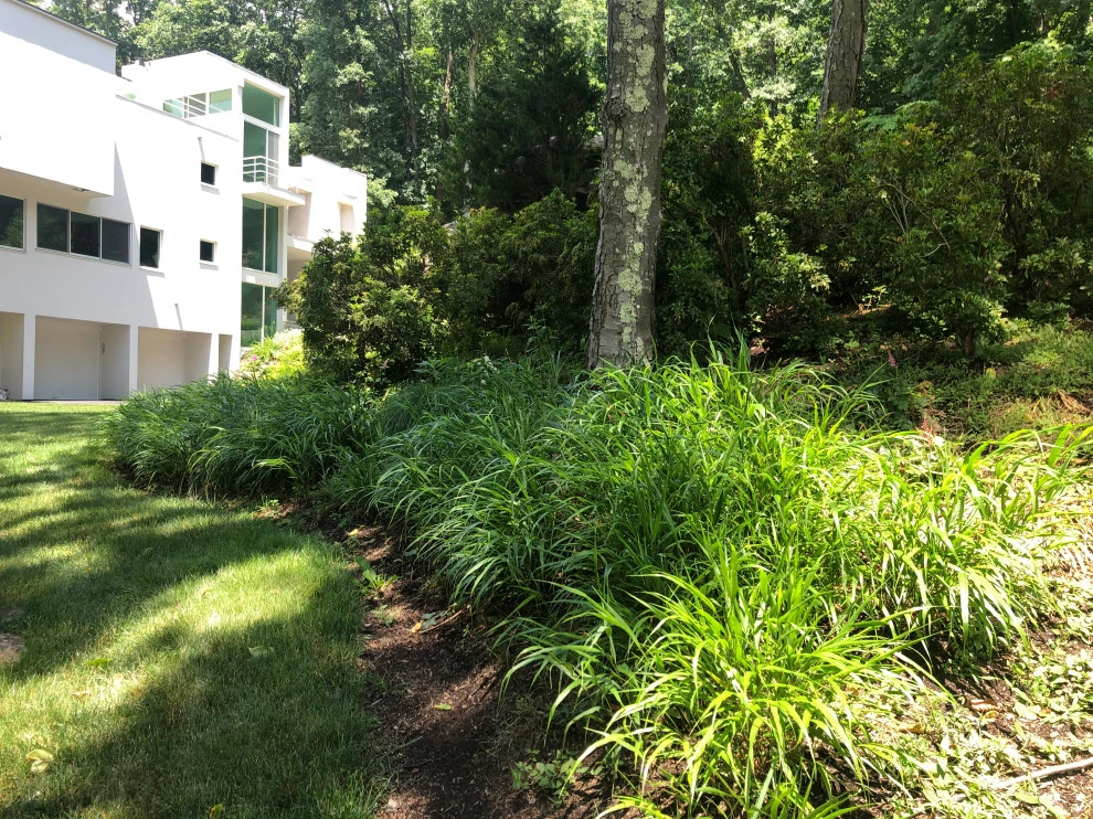 Modern Drama with Grasses by Ty Tan Designs, LLC - Photo 10