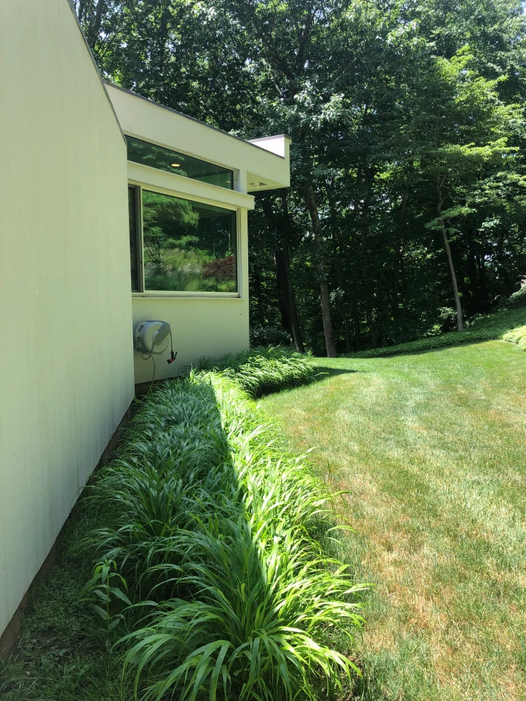 Modern Drama with Grasses by Ty Tan Designs, LLC - Photo 5