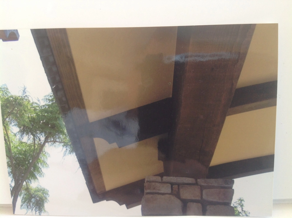 Encinitas Bob's residence by Exterior Designs Landscape - Photo 2