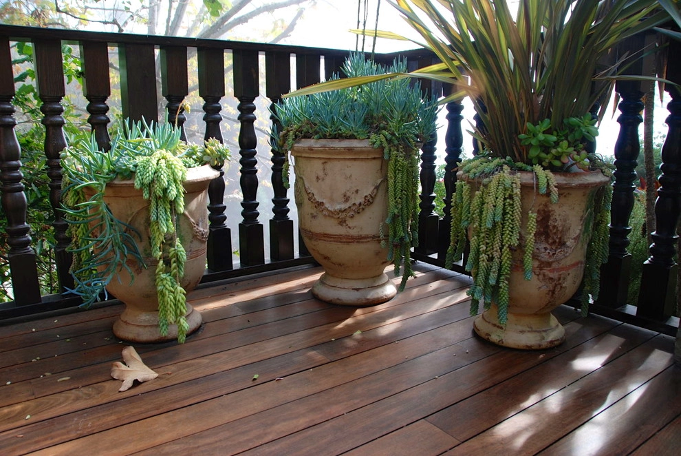 Malibu Getaway by Wendy Harper by Eye Of The Day - Photo 4