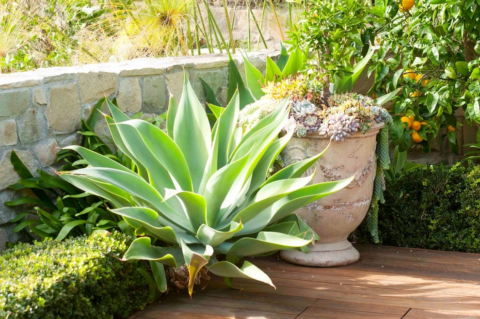 Malibu Getaway by Wendy Harper by Eye Of The Day - Photo 3