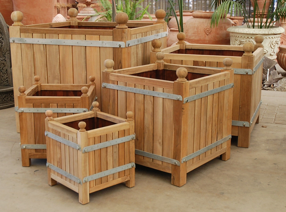 French for your Garden by Eye Of The Day - Photo 2
