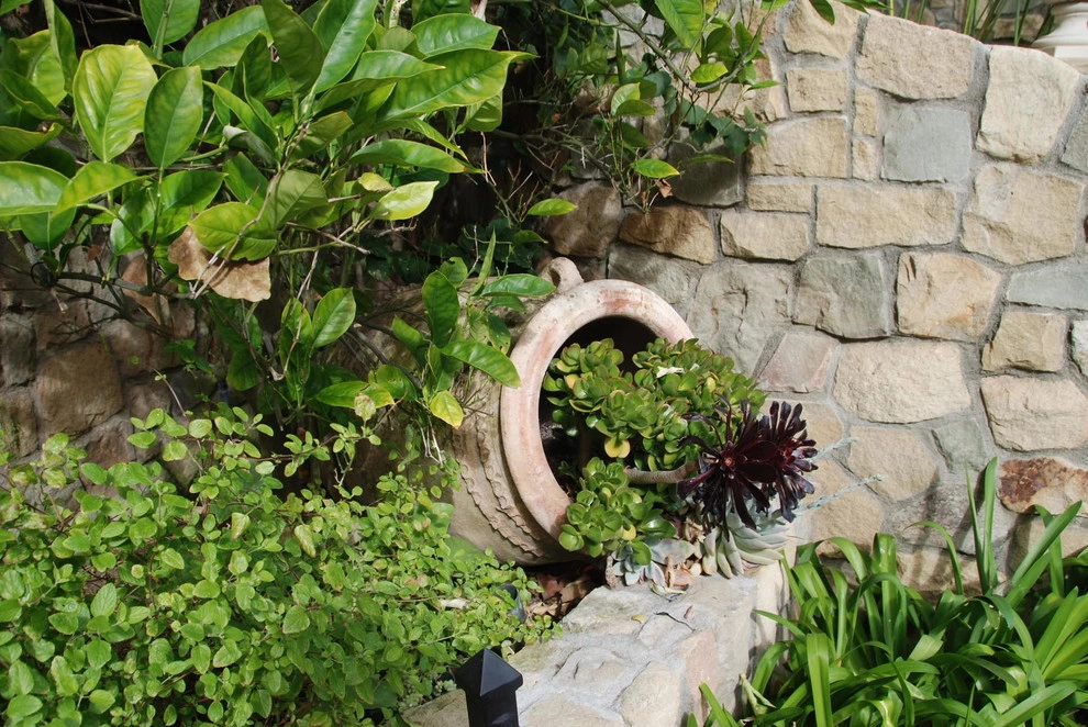 Eye Of The Day - Photo 2