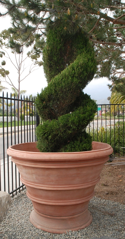 Topiaries in Terra Cotta by Eye Of The Day - Photo 2