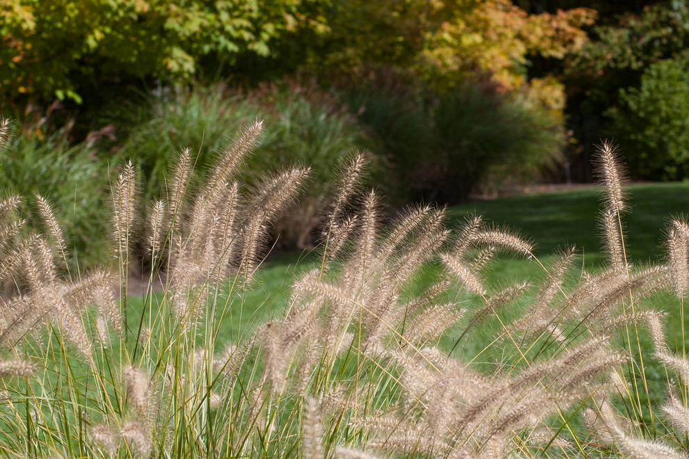 Contemporary Landscape by A Blade Of Grass - Photo 13