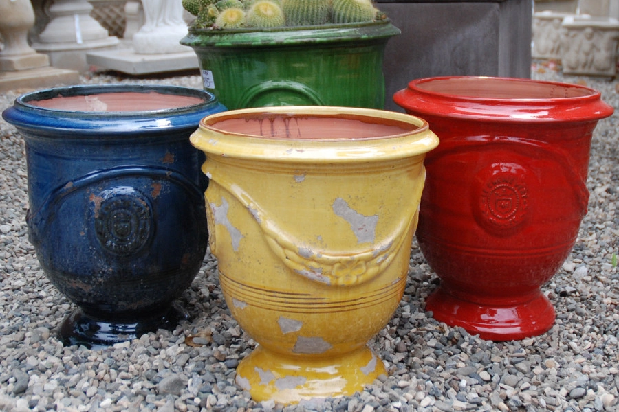 French for your Garden by Eye Of The Day - Photo 4