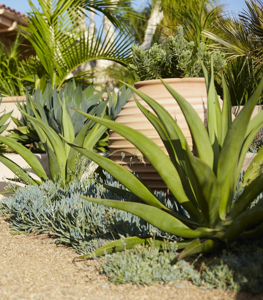 Beach Mediterranean by Eye Of The Day - Photo 4