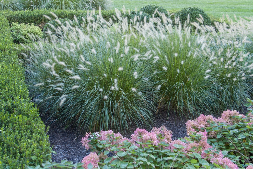 Contemporary Landscape by A Blade Of Grass - Photo 56