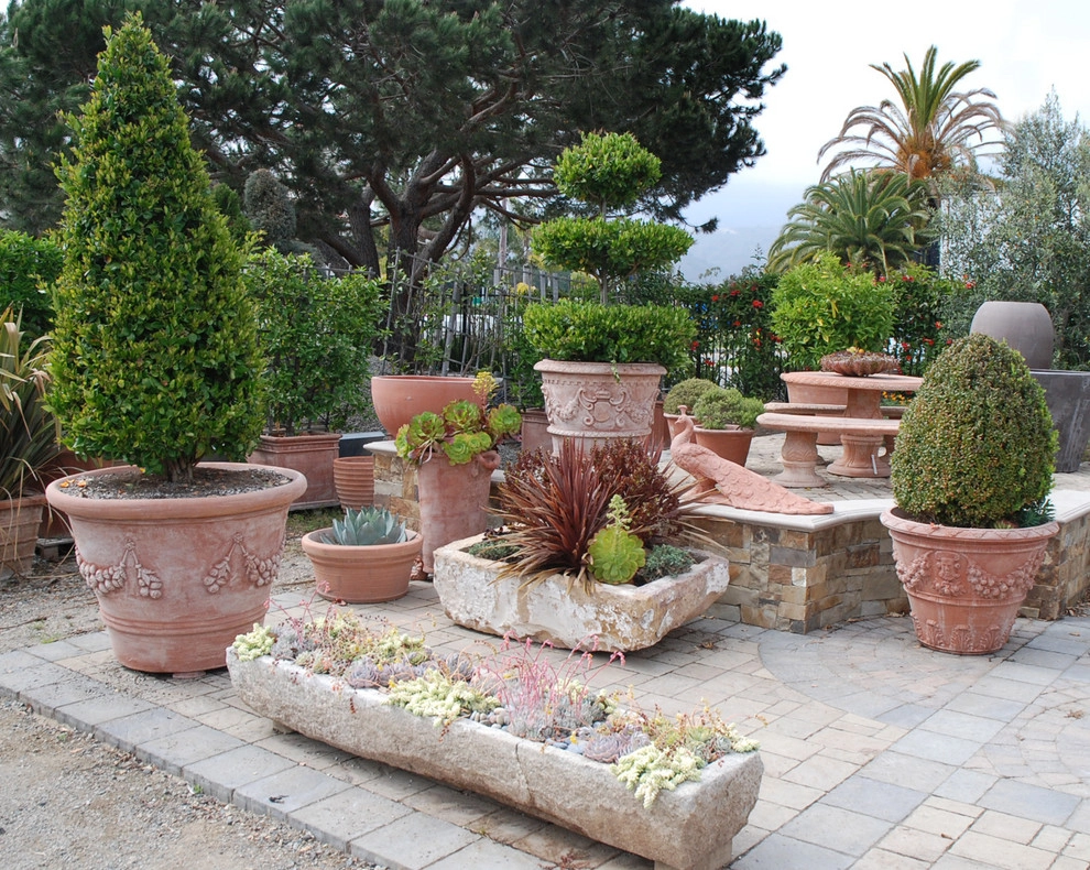 Topiaries in Terra Cotta by Eye Of The Day - Photo 3