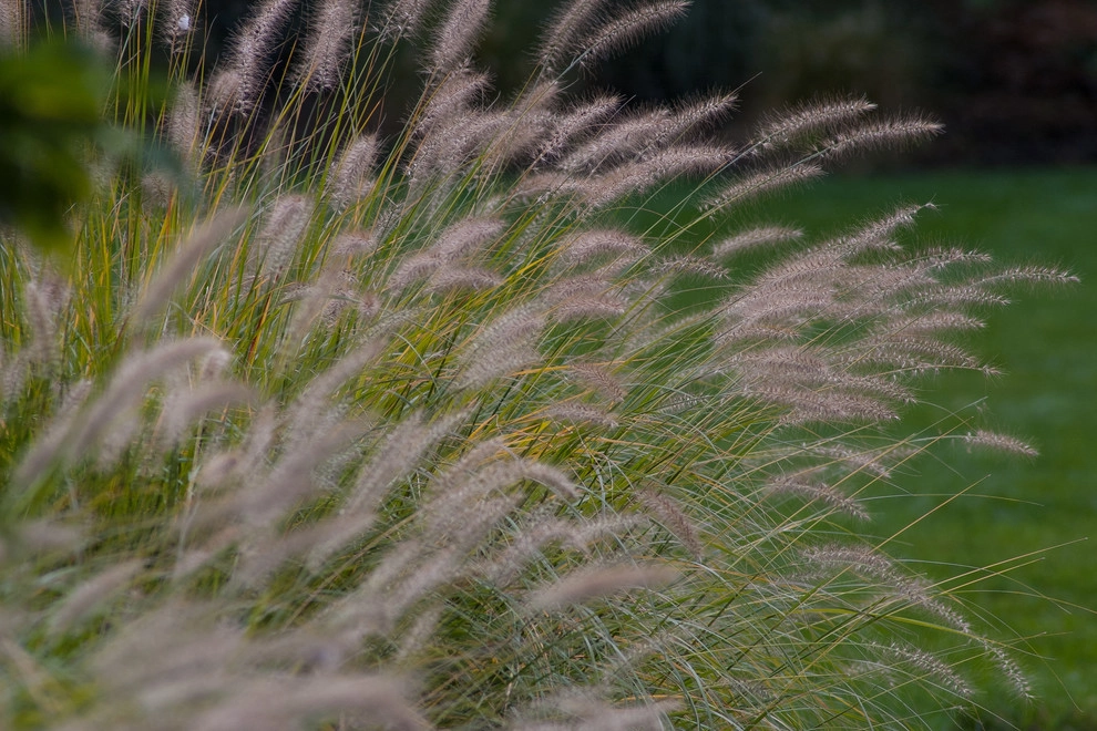 Contemporary Landscape by A Blade Of Grass - Photo 30