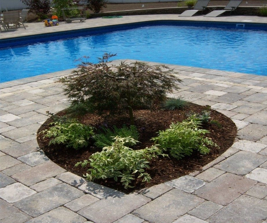 Fasolino Landscape Design & Construction Inc. - Photo 13