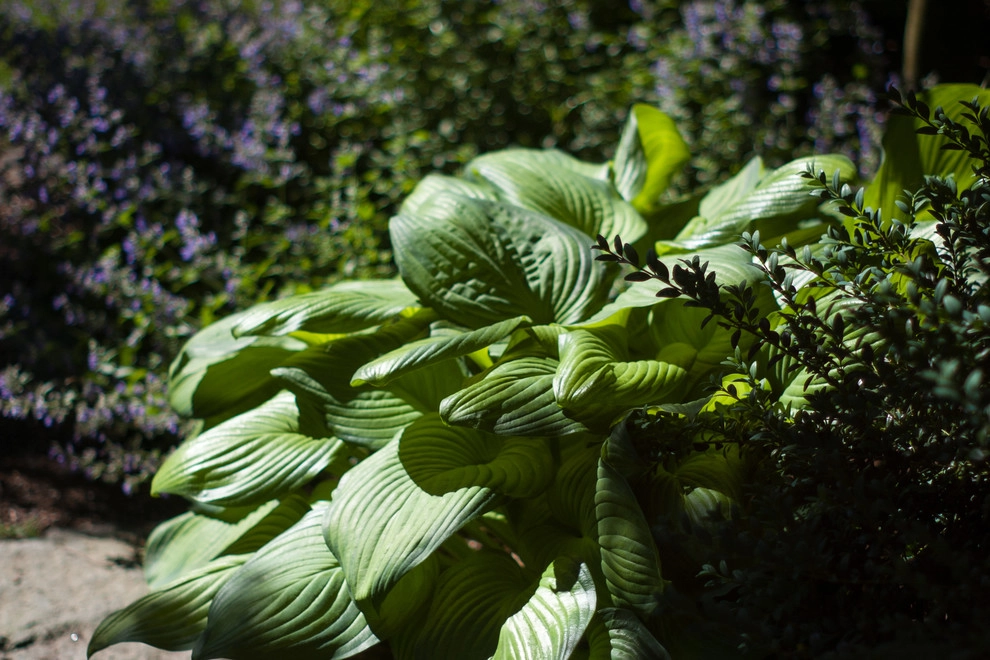 Historic Cambridge Property by A Blade Of Grass - Photo 15