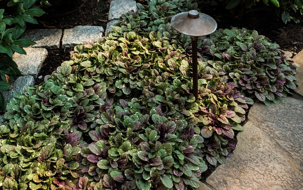 Behind the Beach by Woodburn & Company Landscape Architecture, LLC - Photo 3