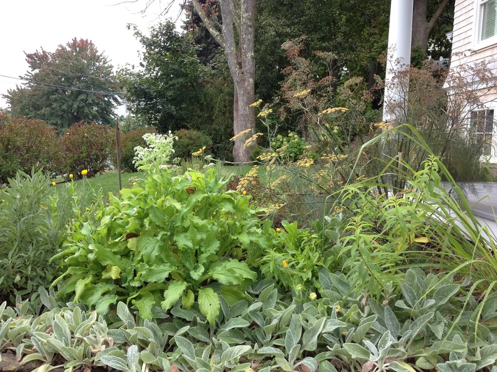 Edible City Garden by Woodburn & Company Landscape Architecture, LLC - Photo 12