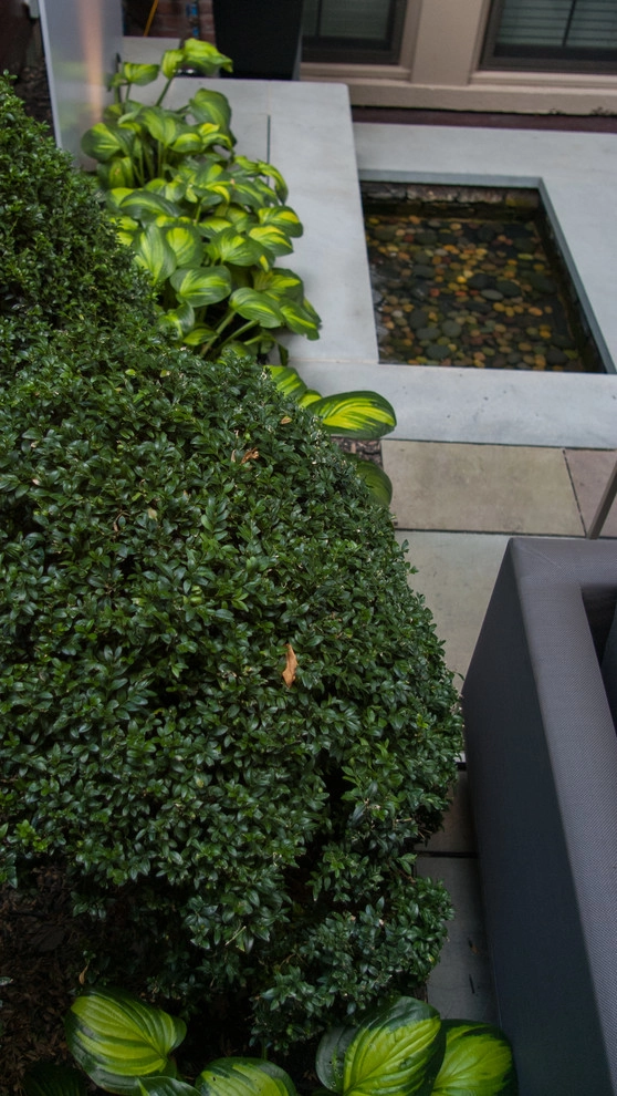 Boston Courtyard by A Blade Of Grass - Photo 17