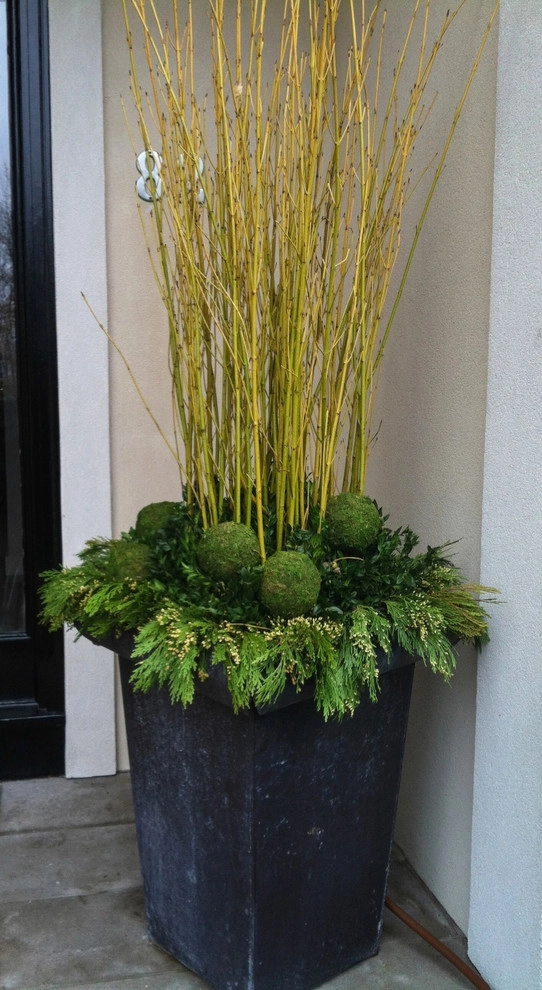 Winter decorations by A Blade Of Grass - Photo 23