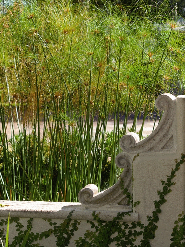 Island Estate by Fernando Wong Outdoor Living Design - Photo 4