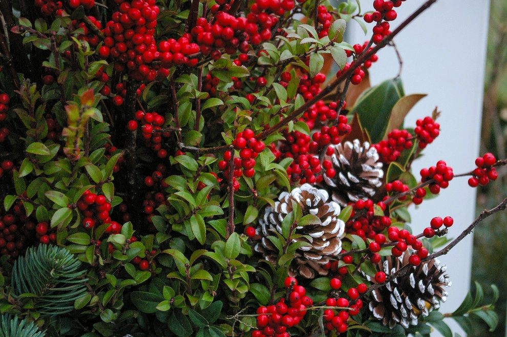 Winter decorations by A Blade Of Grass - Photo 20