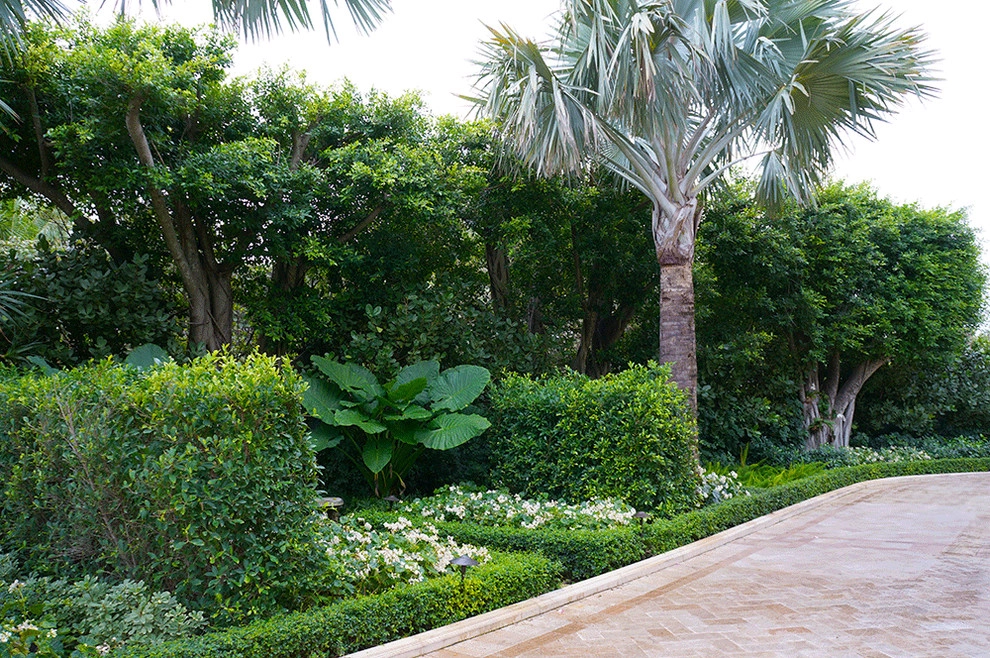 Oceanfront Estate by Fernando Wong Outdoor Living Design - Photo 9