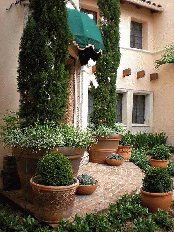Mediterranean Elegance by Fernando Wong Outdoor Living Design - Photo 2