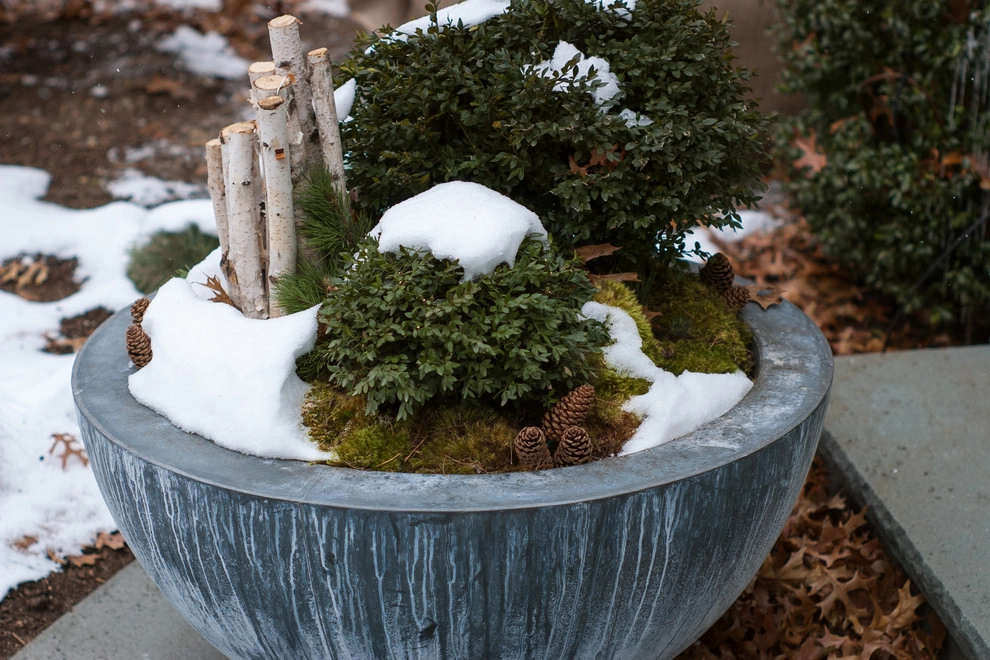 Winter decorations by A Blade Of Grass - Photo 25