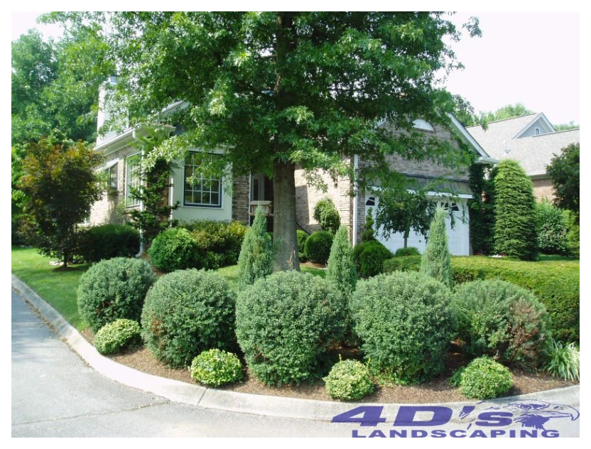 4ds Landscaping & Home Improvement - Photo 7